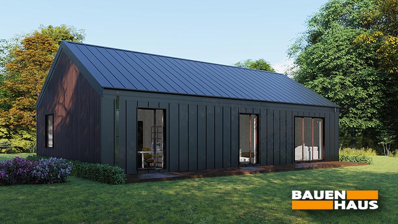 Проект Вашингтон – 95 Визуализация 1