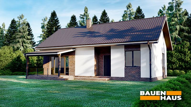 Проект Флокс – 76 Визуализация 1