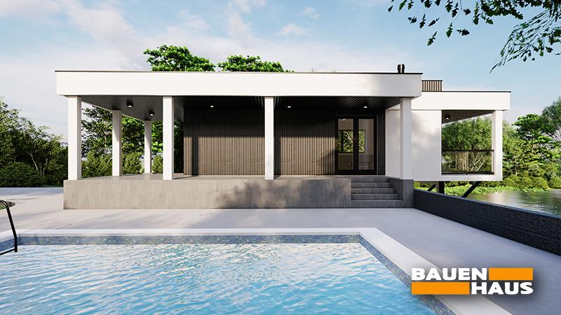 Проект Павловния – 54 Визуализация 1