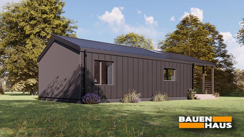 Проект Астра – 62 Визуализация 2