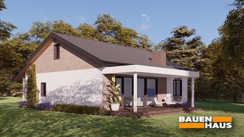 Проект Снежноцвет – 122 Визуализация 2