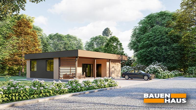 Проект Акебия – 83 Визуализация 1