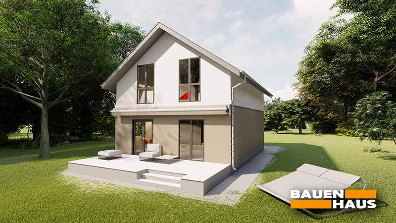 Проект Лютик – 122 Визуализация 1