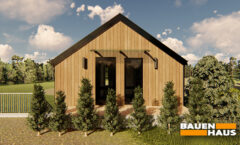 Строительство второго этажа из СИП панелей для дома в Процеве Визуализация 5