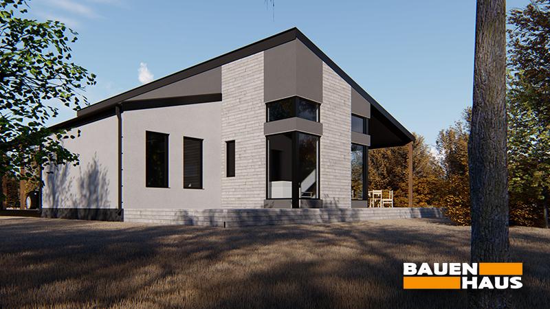 Проект Эдельвейс – 129 Визуализация 1