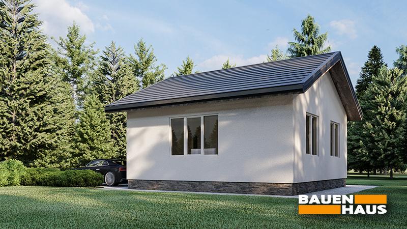 Проект Пуховка – 43