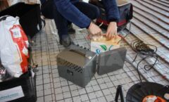 Вредно ли жить в доме из СИП панелей? Полное отсутствие формальдегида Фото 4