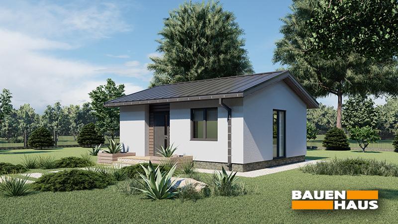 Проект Типовий будинок 43