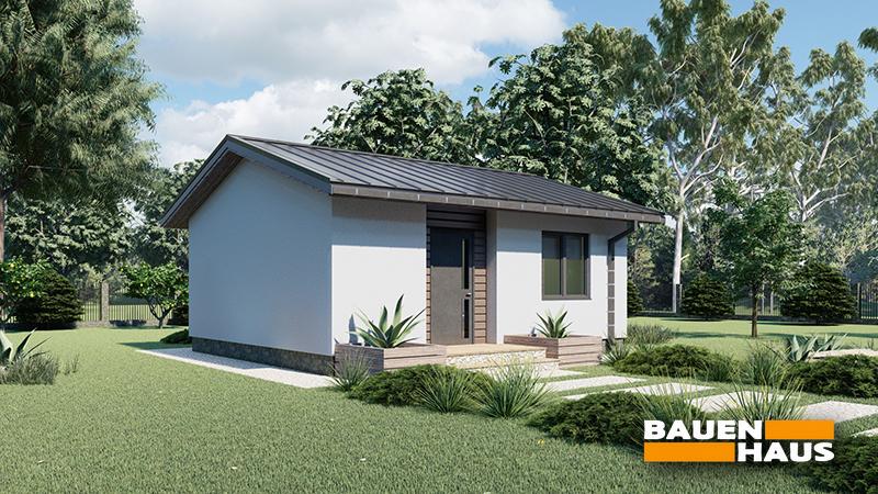 Проект Типовий будинок 43 Візуалізація 2