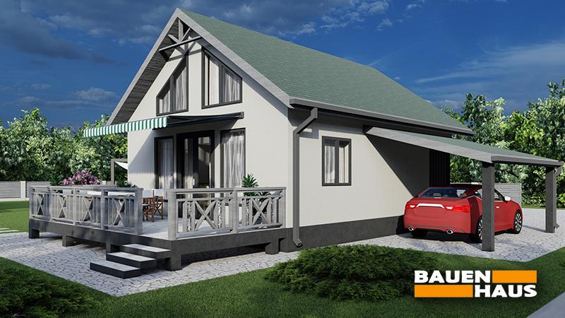 Проект Цинія – 72 Візуалізація 2