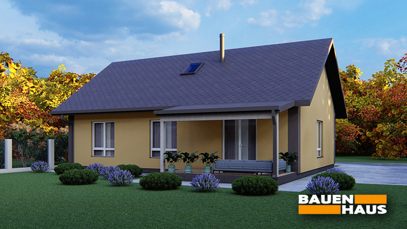 Проект Конвалія – 87